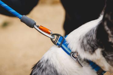 Ruffwear Knot-a-Leash Blue Pool Gr. S